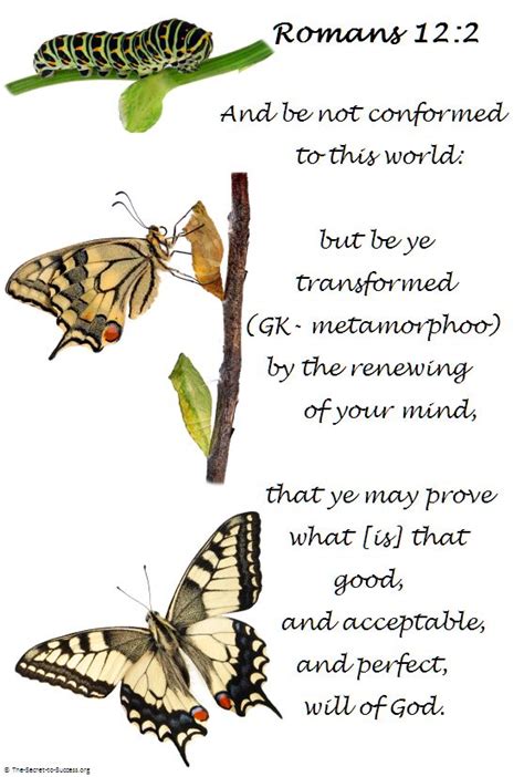 Romans 12:2 - The Metamorphosis of the Christian Believer - for more "Scriptural Pictures" s ...