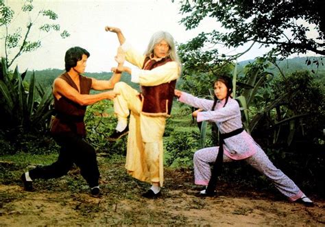 Wu Tang Collection: 36 Deadly Styles | Kung fu movies, Wu tang collection, Martial arts movies