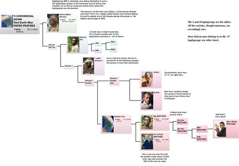 Succession Roy Family Tree