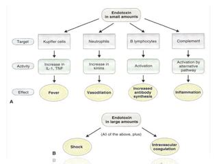 Classification and nomenclature of bacterial toxins | PPT