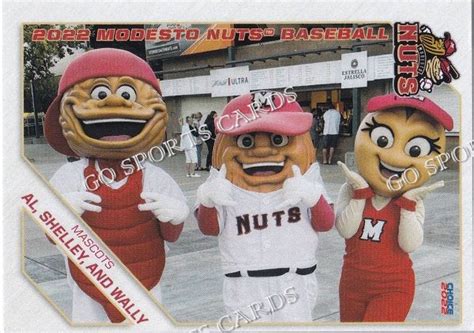 2022 Modesto Nuts Al Shelley Wally Mascot – Go Sports Cards