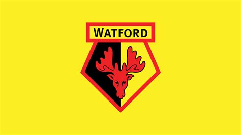 Watford Football Club | Official Website