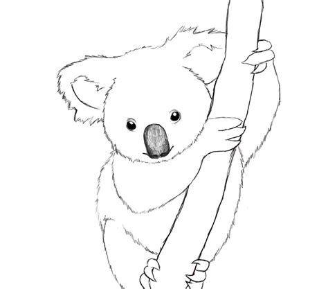 Cute Koala Coloring Pages at GetDrawings | Free download