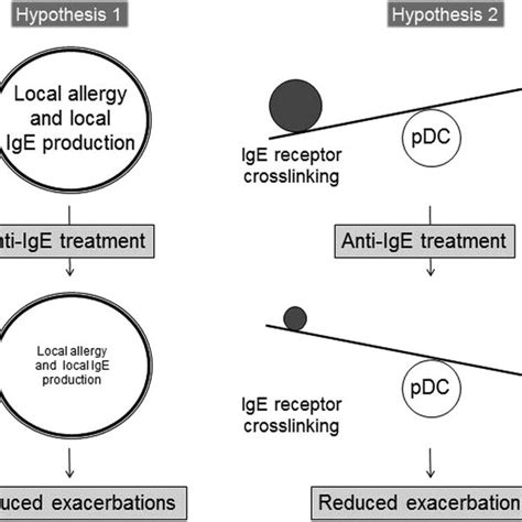 Possible mechanisms of anti-IgE treatment in intrinsic asthma. One ...