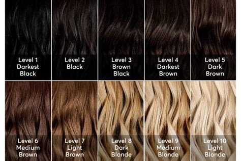 Hair Color Levels: A Complete Guide for You | Blonde hair color chart ...