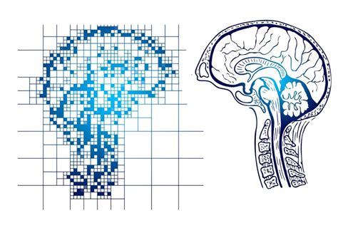 How Should Brain Machine Interfaces be Regulated?