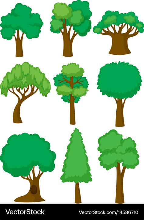 Different shapes of tree Royalty Free Vector Image