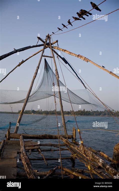 Tourist Attraction,Traditional Chinese fishing nets at sunset Fort ...