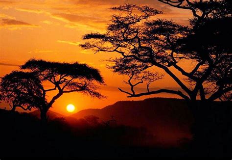 Serengeti-National-Park-Sunset,-Tanzania. | Africa sunset, African ...