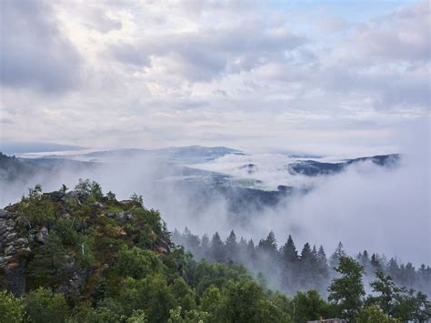 The Bavarian Forest: How to Plan a Trip in Summer or Winter