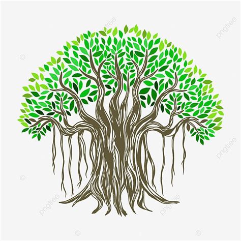 Hand Drawn Illustration Vector Hd Images, Ancient Banyan Tree Vector Illustrations Hand Drawn ...