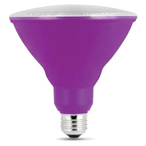Buy 90-Watt Equivalent PAR38 Weatherproof Outdoor Landscape Purple Color LED Flood Light Bulb 1 ...