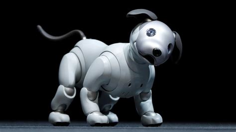 Sony's future might depend on a robot dog