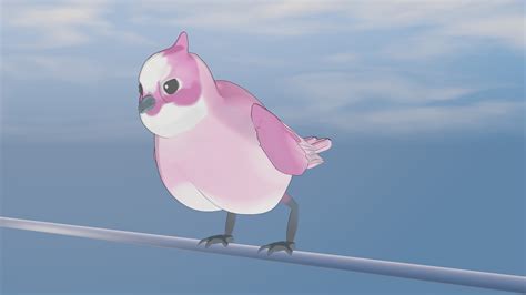 Anime Bird Drawings