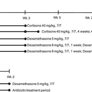 (A) Outline of corticosteroid dosages, dosing frequency, and duration... | Download Scientific ...