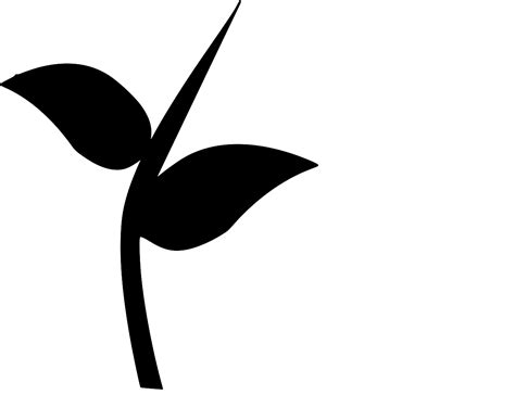SVG > branch growth nature buds - Free SVG Image & Icon. | SVG Silh