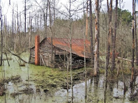 Swamp witch s hut by sweetbeast413 on deviantart – Artofit