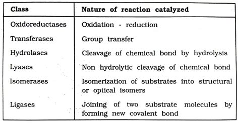 Classification of Enzymes ~ Biotechfront