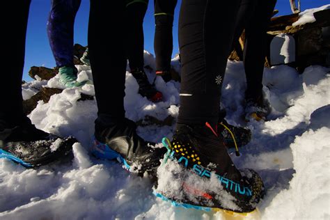 3 Winter Running Shoes That Will Blow You Away - Trail And Ultra ...