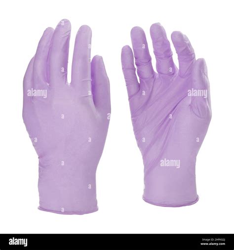 Two purple latex medical gloves isolated on white background with no hands Stock Photo - Alamy