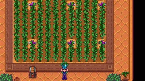 How to Get Ancient Fruit in Stardew Valley - Pro Game Guides