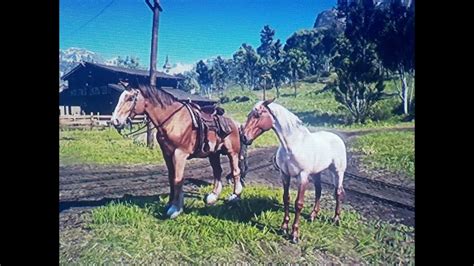 Red Dead Redemption 2 How Good Is Kieran's Horse Breed withoud Bonding ...