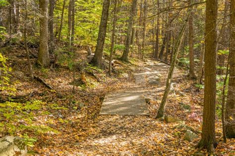 11 BEST Southern Maine Hiking Trails To Explore In 2024