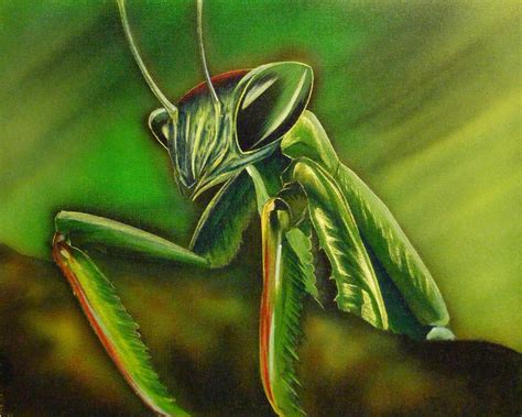 Praying Mantis by AirbrushFanatik on DeviantArt