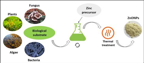 Figure 2 from Green synthesis of zinc oxide nanoparticles: A review of the synthesis methodology ...