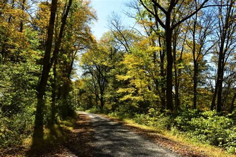 How to Find Fall Foliage in the Poconos – Dang Travelers