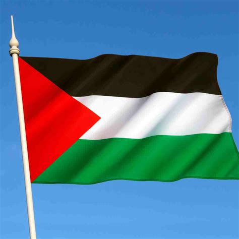 The Meaning Behind The Palestinian Flag: A Symbol Of Identity And Struggle