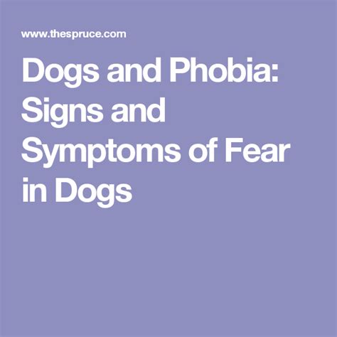 Dogs and Phobia: Signs and Symptoms of Fear in Dogs Dog Info, Signs And Symptoms, Phobias, Body ...