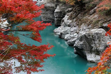 Shikoku: A Hidden Part of Japan That You Have to Visit