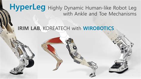 Introducing HyperLeg: Human-like Robot Leg and Foot for Highly Dynamic ...