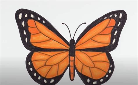 Monarch Butterfly Drawing Step by Step || How to draw a Butterfly - https://htdraw.com/wp-cont ...