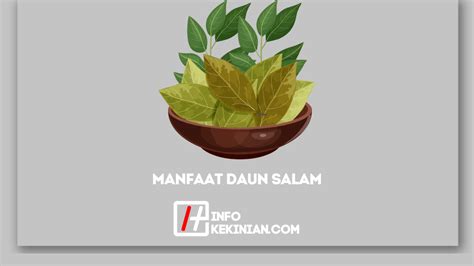 7 Manfaat Daun Salam untuk Kesehatan yang Wajib Diketahui!