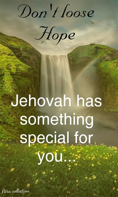 Don't Lose Hope Jehovah Has Something Special For You. | Jehovah ...