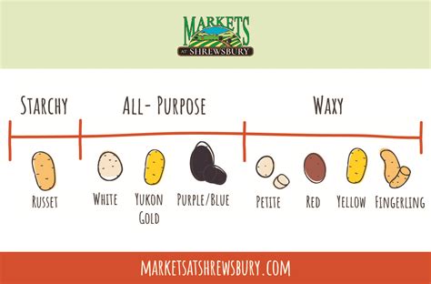 Types Of Potatoes Chart