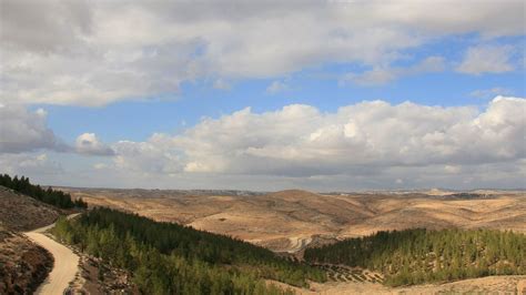 In Israel, Questions Are Raised about a Forest that Rises from the ...