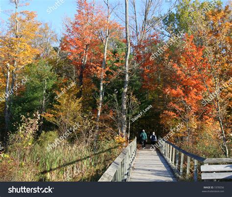 22 Charleston Lake Provincial Park Images, Stock Photos & Vectors ...