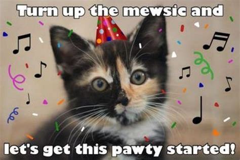 101 Funny Cat Birthday Memes - "Turn up the mewsic and let's get this pawty started!" | Happy ...