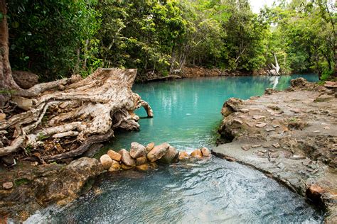 How To Get To The Cardwell Spa Pool | Cairns & Great Barrier Reef