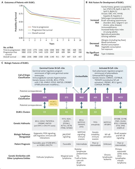 Diffuse Large B-Cell Lymphoma | New England Journal of Medicine