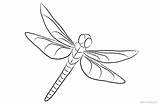 Dragonfly Coloring Pages Clipart  Free Printable sketch template