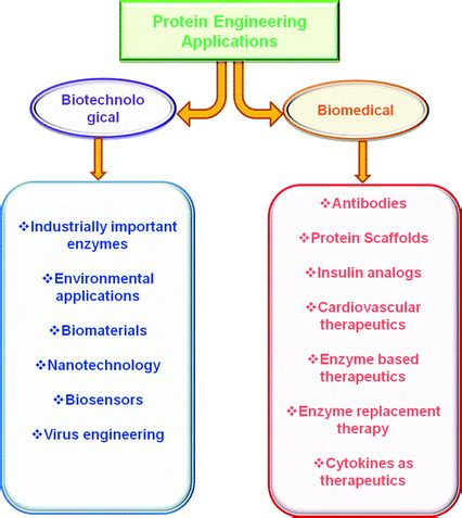 Biotechnological and Biomedical Applications of Protein Engineering Methods | SpringerLink