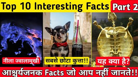 Top 10 Interesting Facts - Part 2 | Amazing Facts | Interesting Facts About World - YouTube