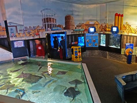 Sea Life Great Yarmouth, including the Penguins and Shark Tunnel