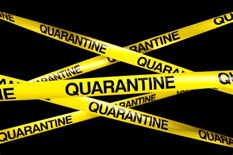 Preparing for Quarantine - The Prepared Page