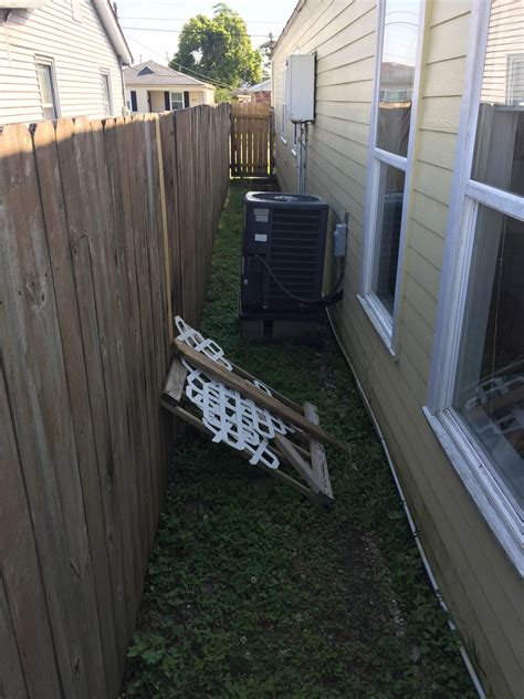 Any ideas on what to do with this narrow side yard? About 2.5 feet wide : r/landscaping