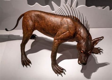 Chupacabra – a mysterious animal | DinoAnimals.com